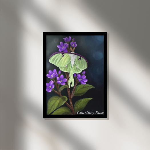 Original Paintings