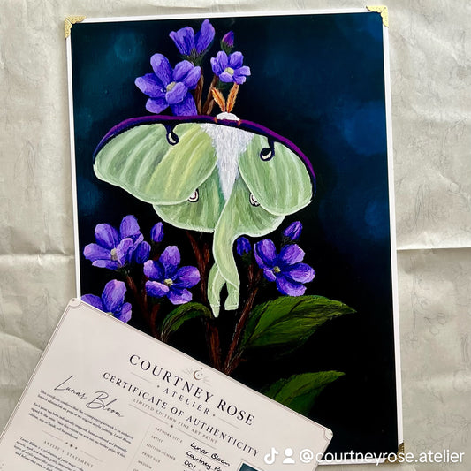 Lunar Bloom limited edition luna moth fine art print by Courtney Rose