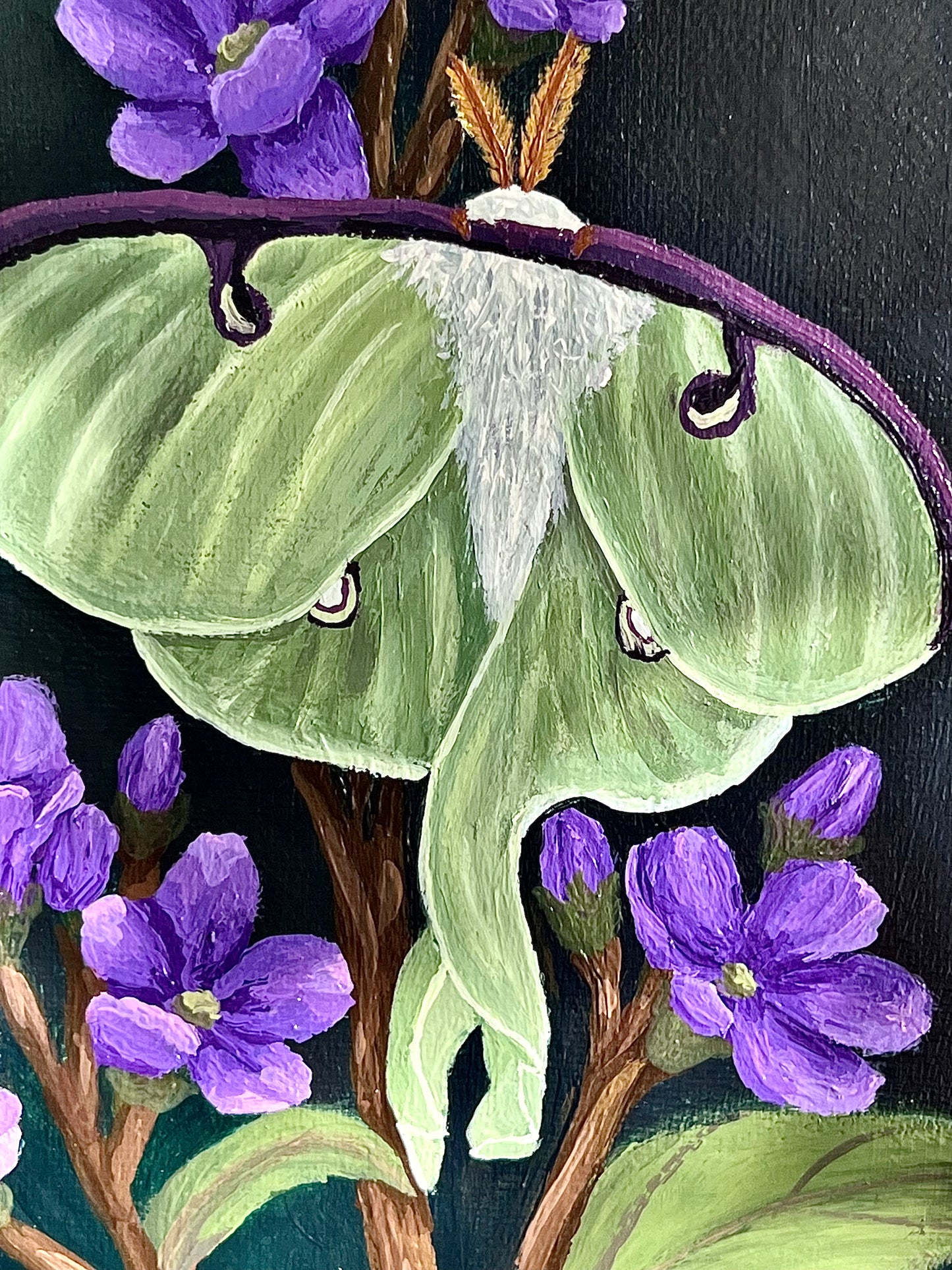 Lunar Bloom